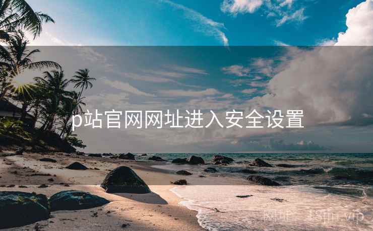 p站官网网址进入安全设置  第2张