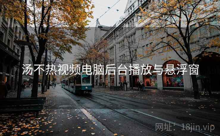 汤不热视频电脑后台播放与悬浮窗  第2张