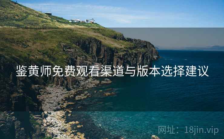 鉴黄师免费观看渠道与版本选择建议  第1张