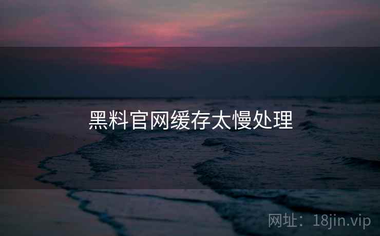 黑料官网缓存太慢处理  第2张