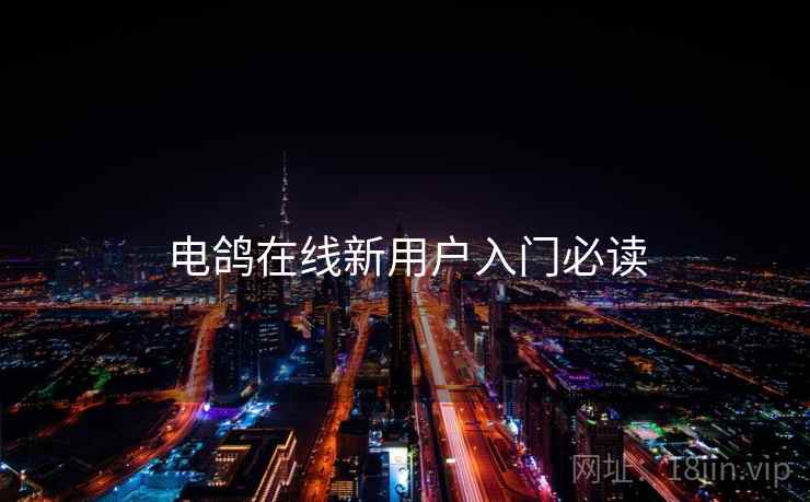 电鸽在线新用户入门必读  第2张