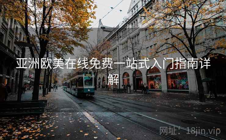 亚洲欧美在线免费一站式入门指南详解  第2张