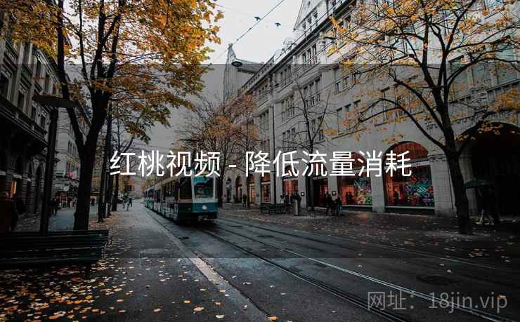 红桃视频 - 降低流量消耗  第2张