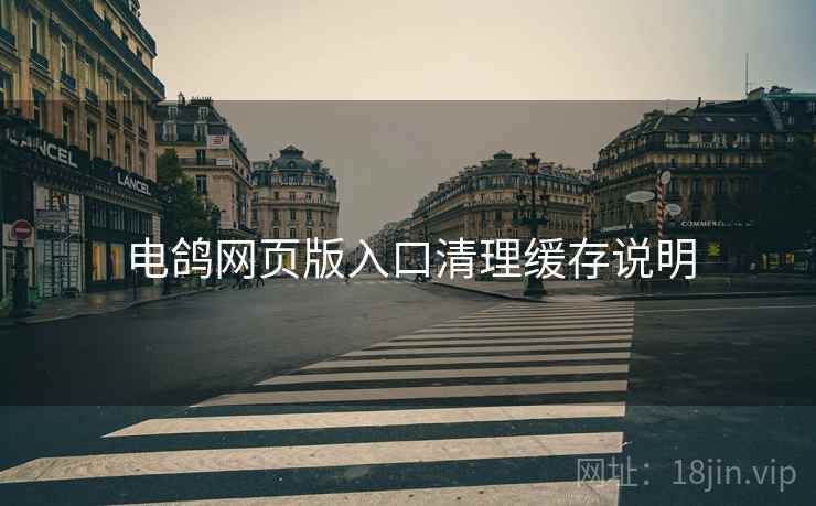 电鸽网页版入口清理缓存说明  第1张