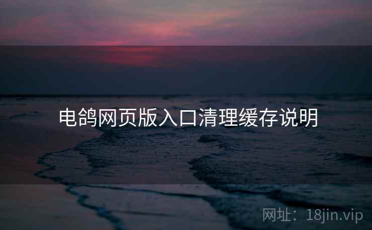 电鸽网页版入口清理缓存说明  第2张