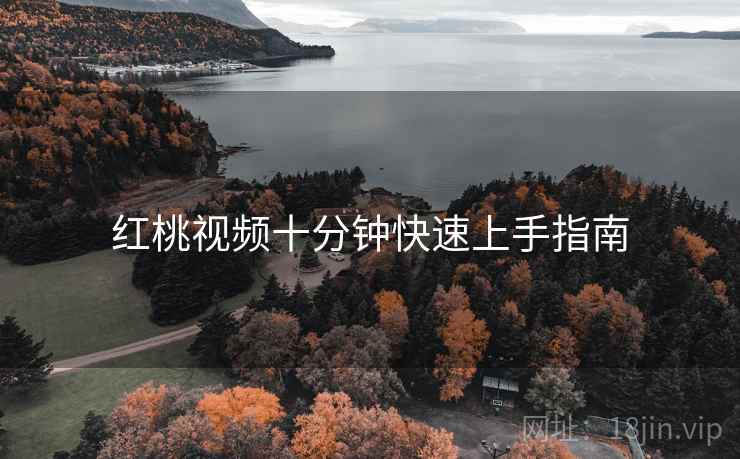 红桃视频十分钟快速上手指南  第2张