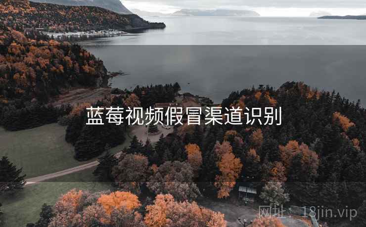 蓝莓视频假冒渠道识别  第1张