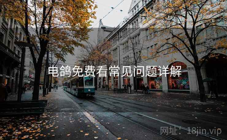 电鸽免费看常见问题详解  第2张