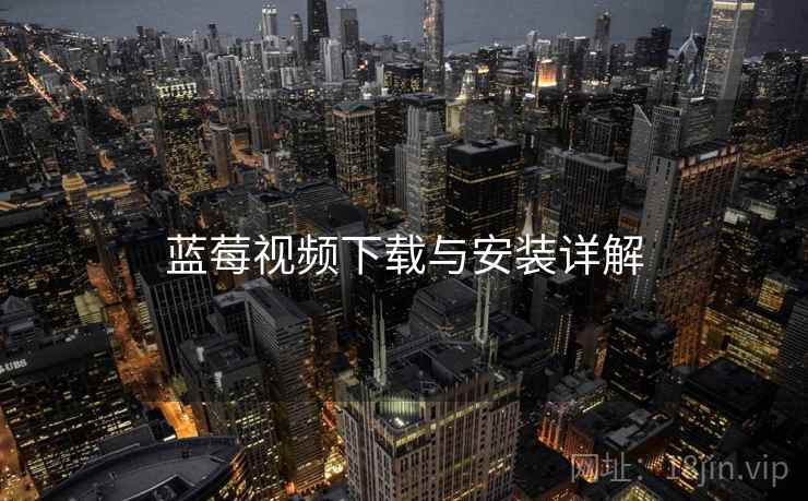 蓝莓视频下载与安装详解  第2张