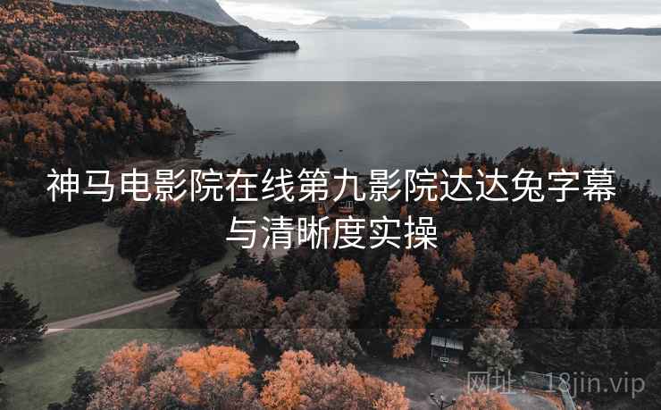神马电影院在线第九影院达达兔字幕与清晰度实操  第1张
