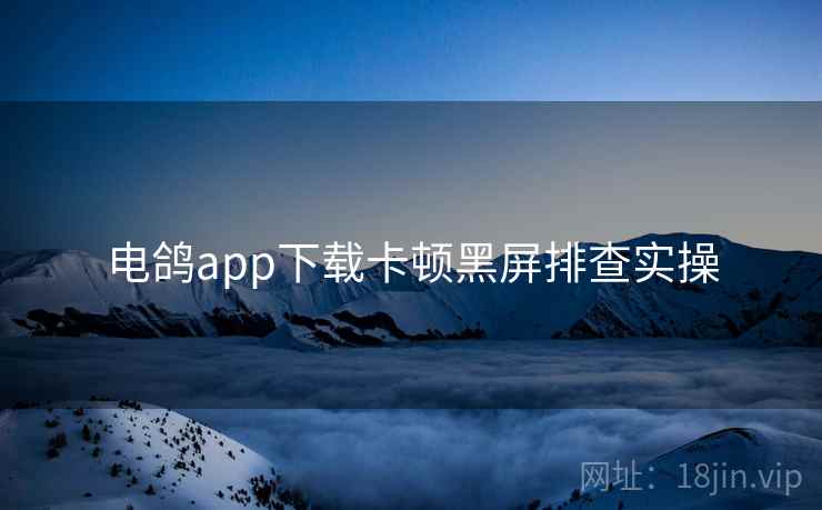 电鸽app下载卡顿黑屏排查实操  第1张