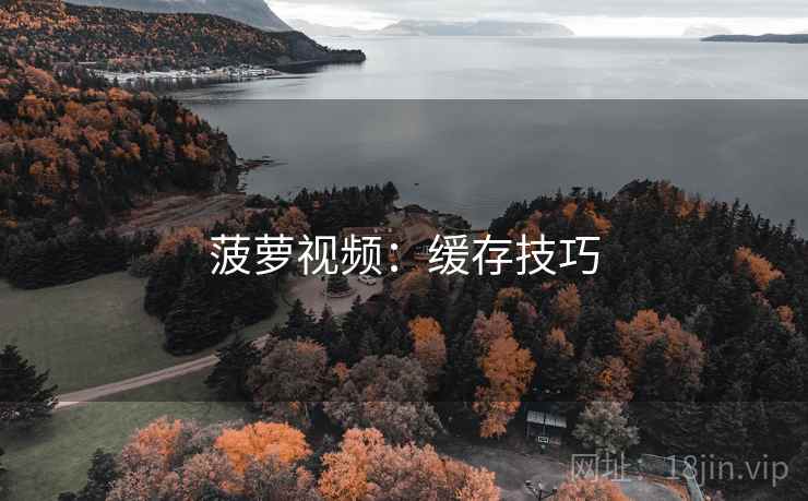 菠萝视频：缓存技巧  第1张