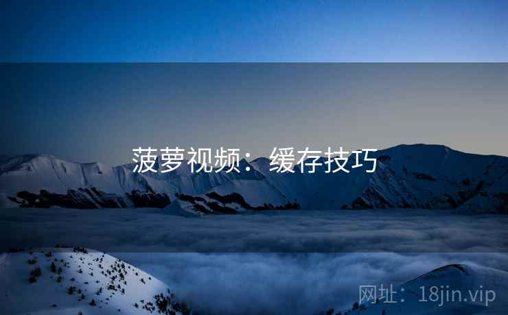 菠萝视频：缓存技巧  第2张