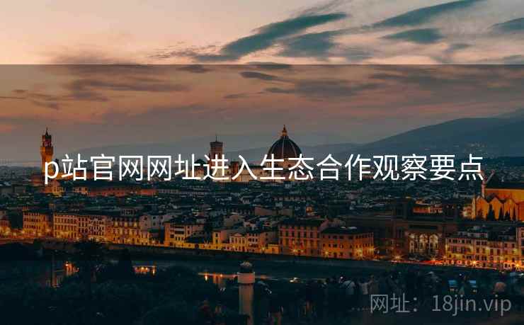 p站官网网址进入生态合作观察要点  第2张