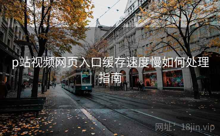 p站视频网页入口缓存速度慢如何处理指南  第1张