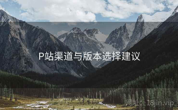 P站渠道与版本选择建议  第1张