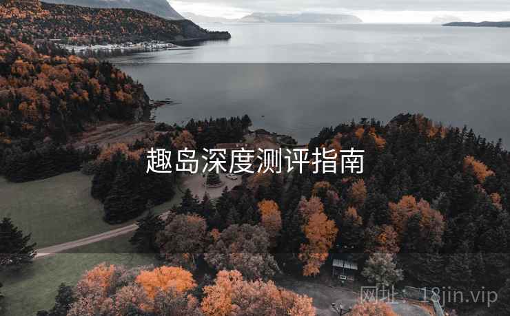趣岛深度测评指南  第1张