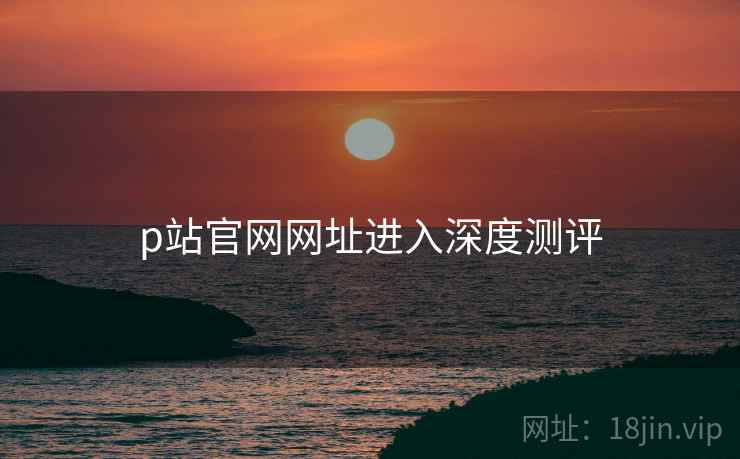p站官网网址进入深度测评  第1张
