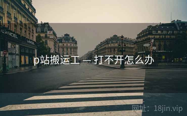 p站搬运工 — 打不开怎么办  第2张