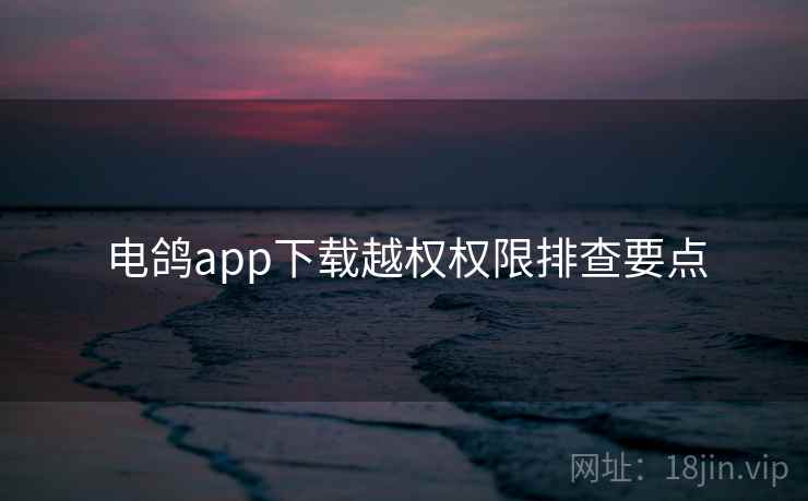 电鸽app下载越权权限排查要点  第1张