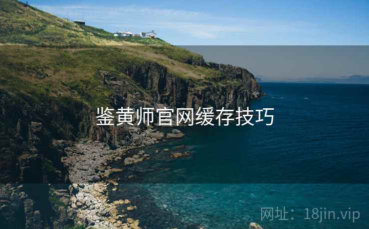 鉴黄师官网缓存技巧  第1张