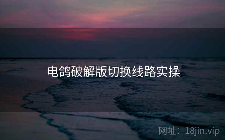 电鸽破解版切换线路实操  第2张