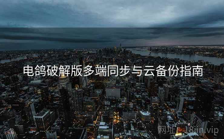 电鸽破解版多端同步与云备份指南  第1张
