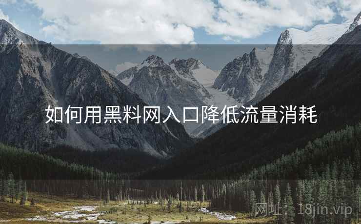 如何用黑料网入口降低流量消耗  第1张