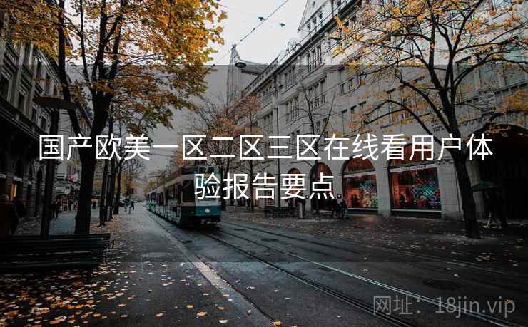 国产欧美一区二区三区在线看用户体验报告要点  第1张