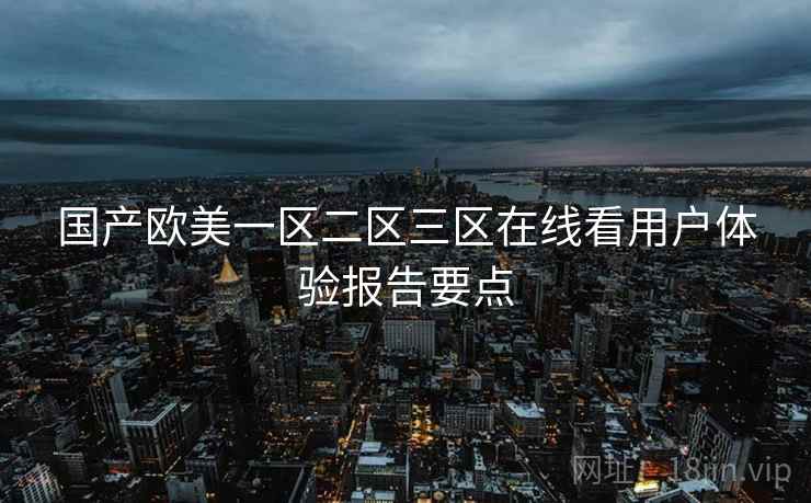 国产欧美一区二区三区在线看用户体验报告要点  第2张