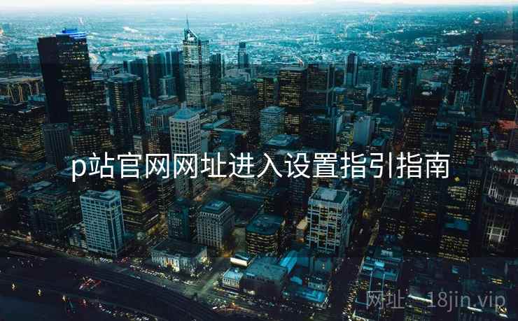 p站官网网址进入设置指引指南  第2张